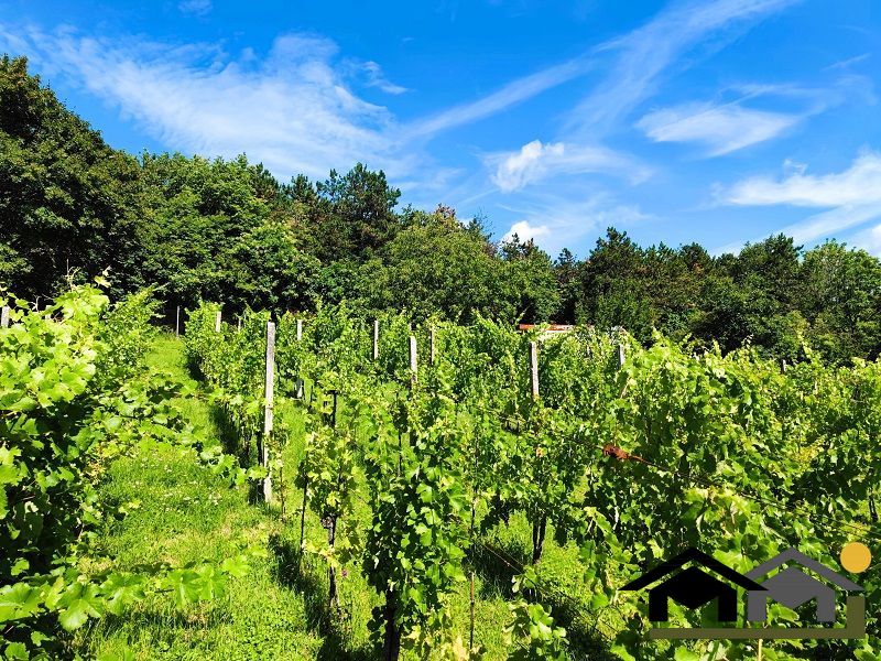 PREDAJ ZÁHRADY, KOLÍŇANY, 617 m² - 5