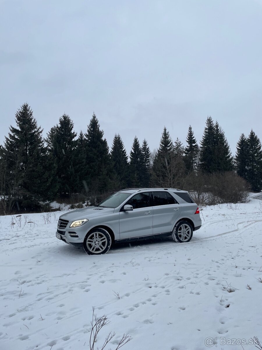 Mercedes ML W166 350 - 5