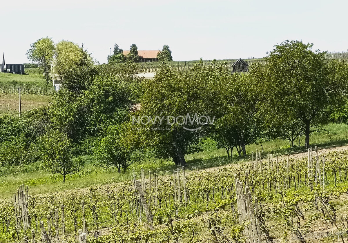 NA PREDAJ - vinice, obec Strekov, výmera 4659 m2 - 5