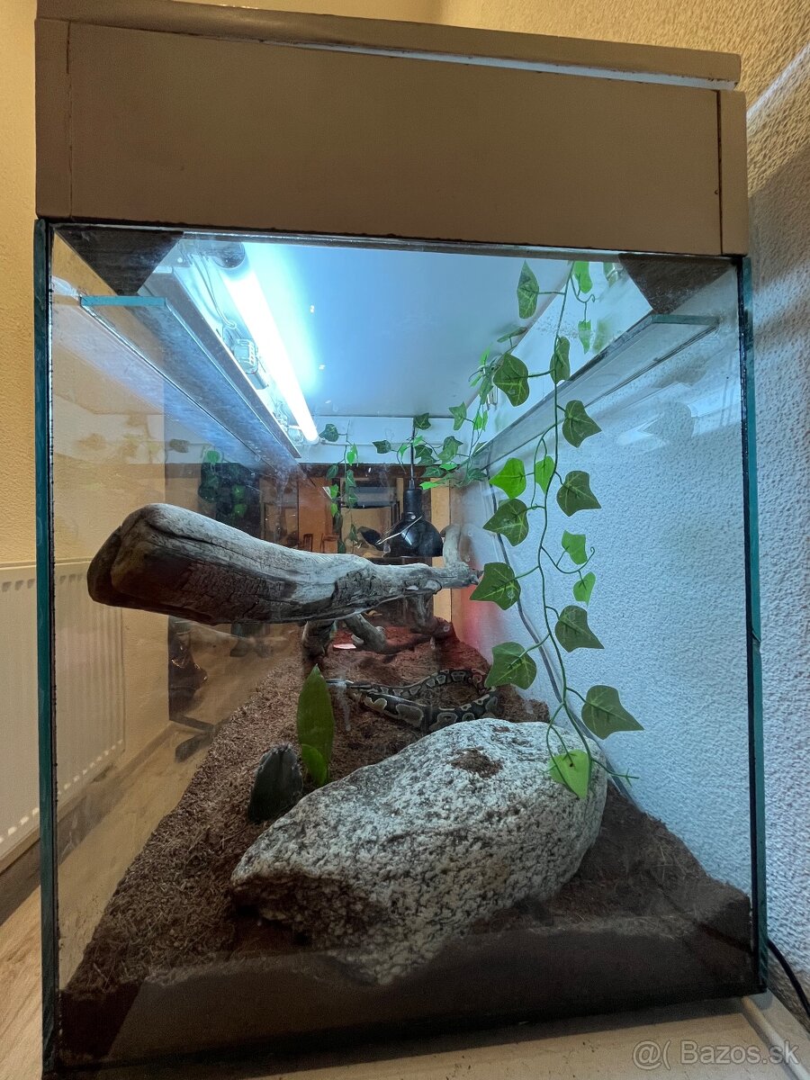 Ručne robená teraristická zostava / Terárium - 5