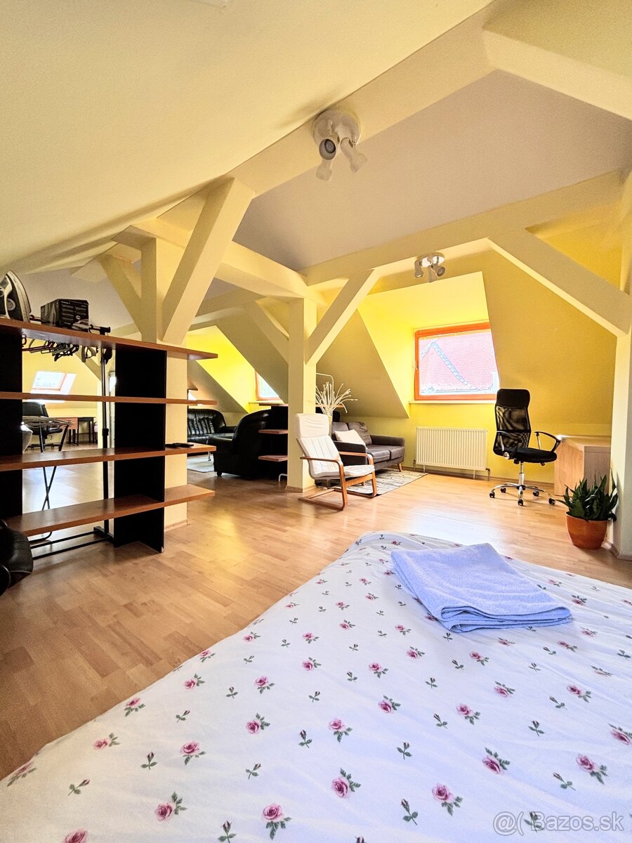 TREEF ponúka LOFT v centre Bratislavy 110m2 - 5