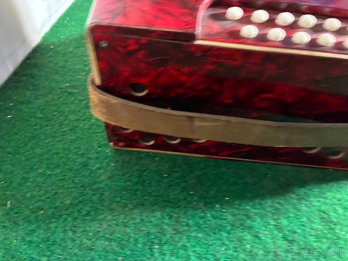 Harmonika Weltmeister - 5