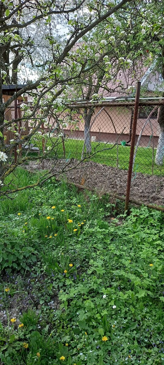 Predaj pozemku v Komárovciach - 5