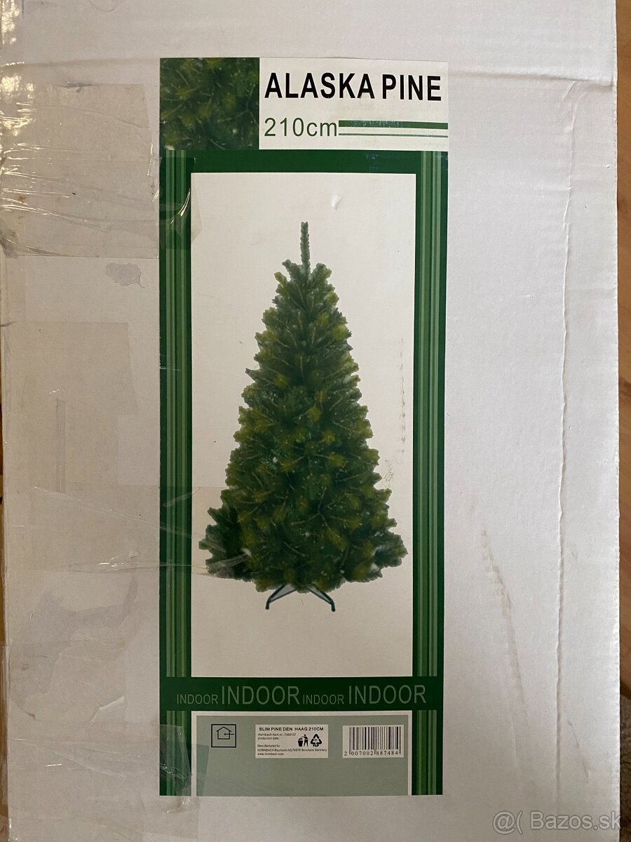 Alpská borovica - vianočný stromček - 5