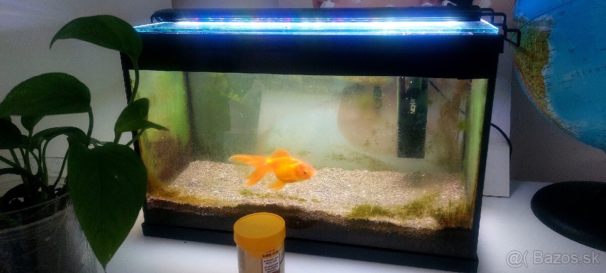 Aquarium 2x s príslušenstvom - 5