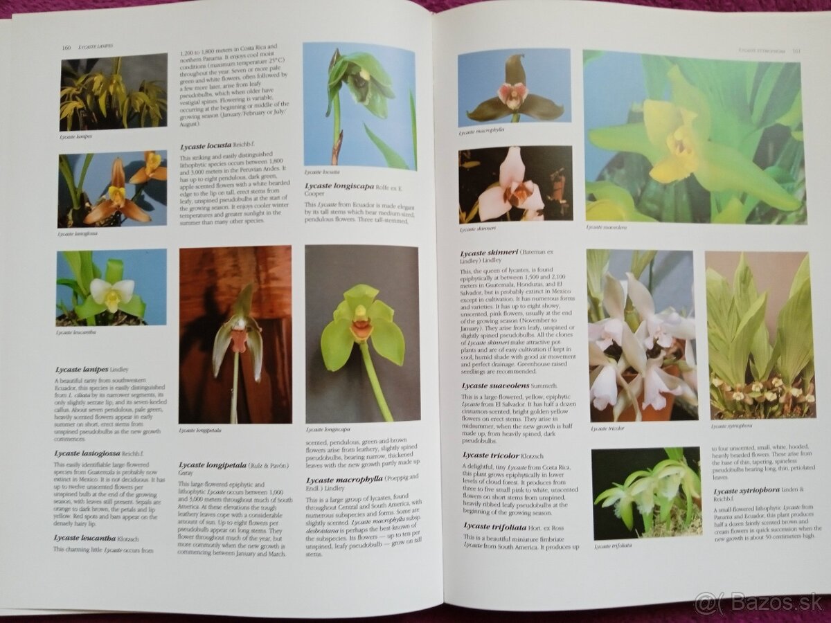 Ilustrovaná encyklopédia orchideí v angličtine - 5