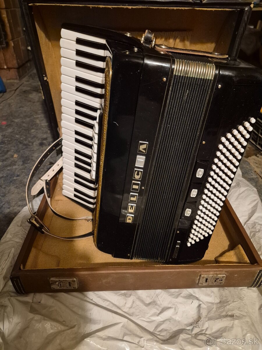 Predam akordeon Delicia - 5