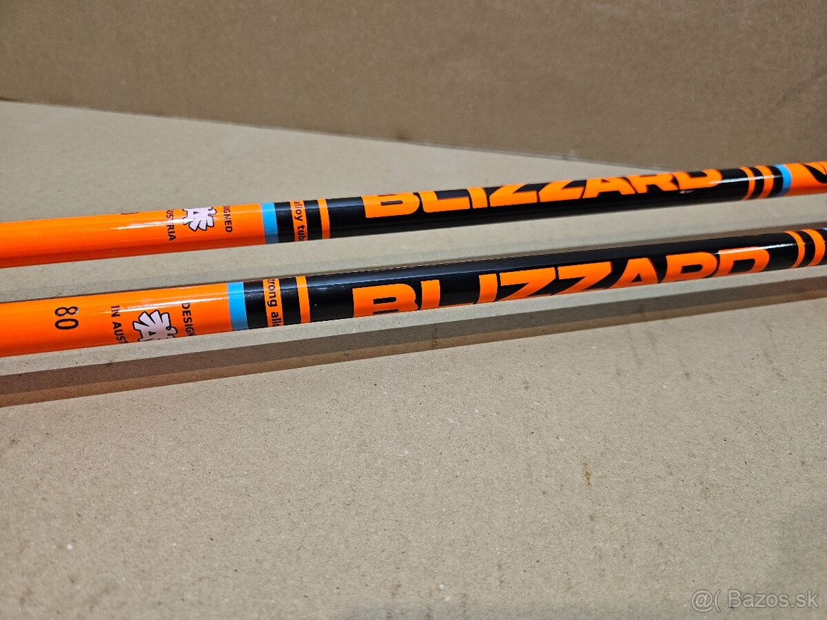 Lyziarske palicky - 5