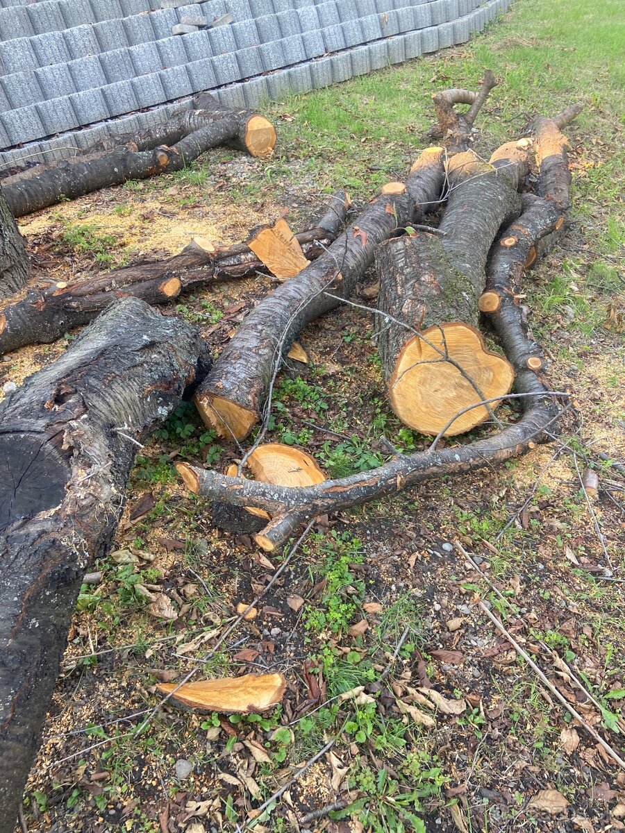 Čerešňove drevo - 5