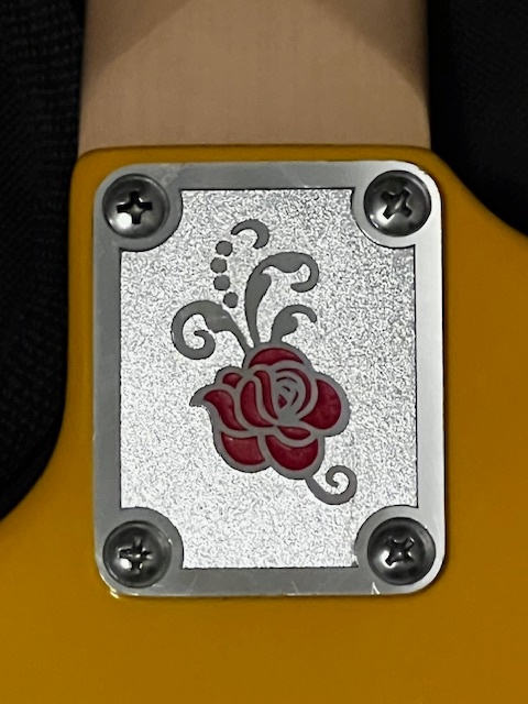 El. gitara Gypsy Rose GRE1K-DLB - 5