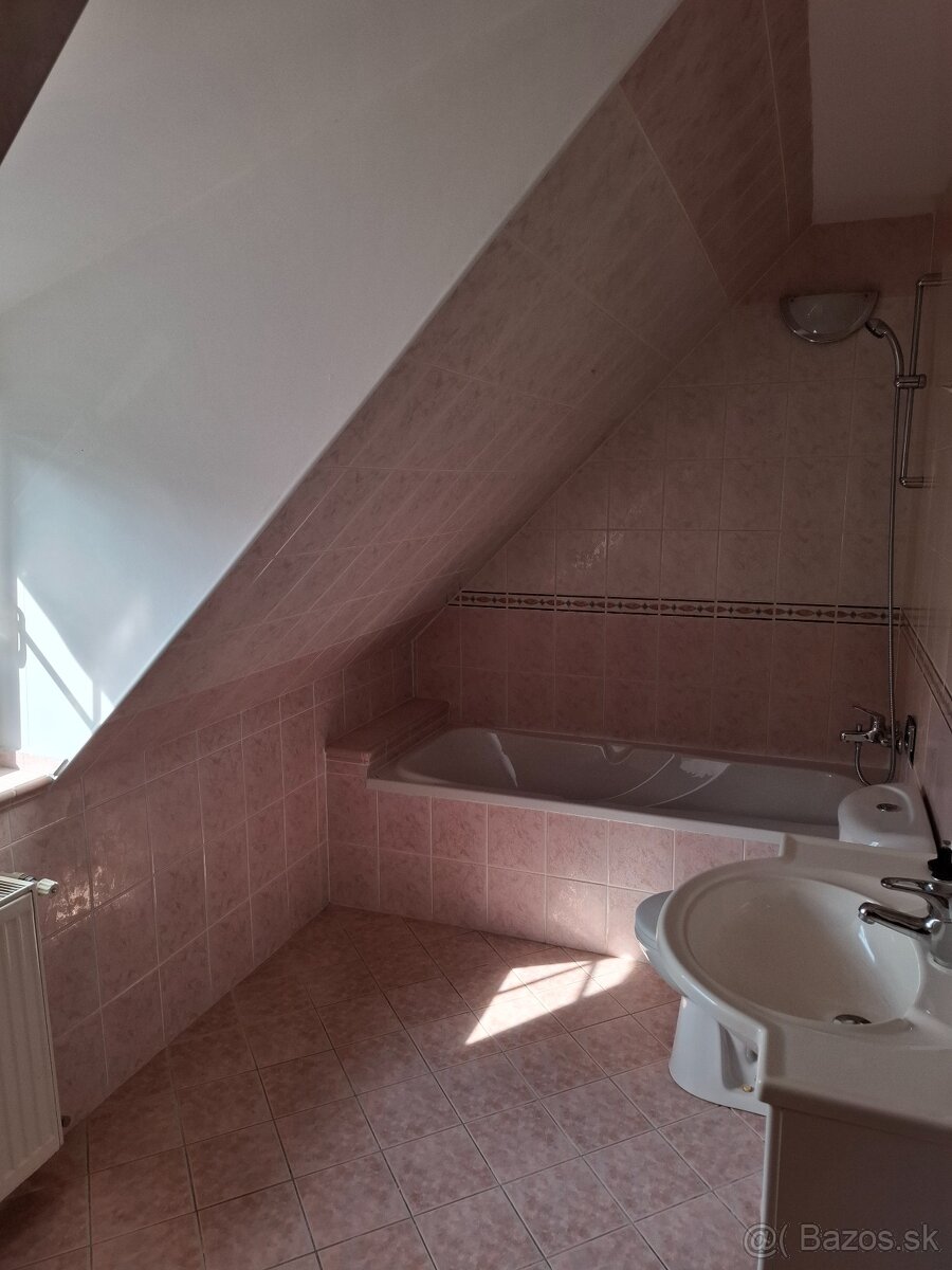 Dvojizbový byt v RD - 5