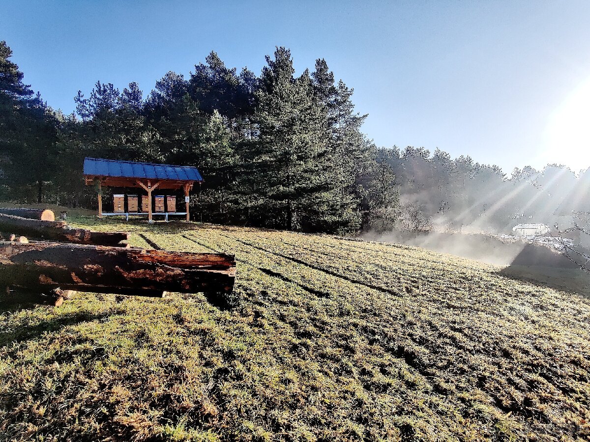 Domáci včelí med z Turčianskej záhradky - 5