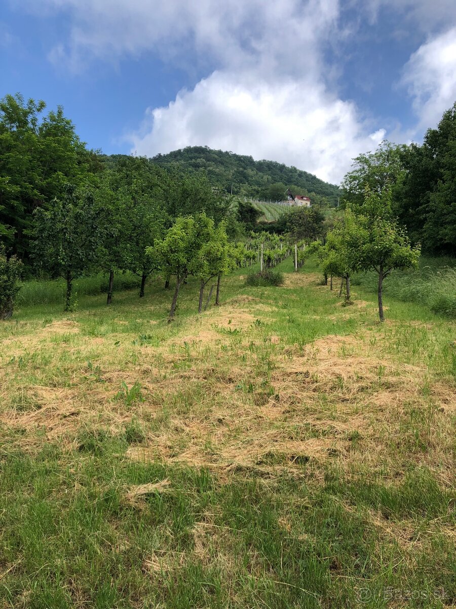 Predám pivničnú chatku - 5