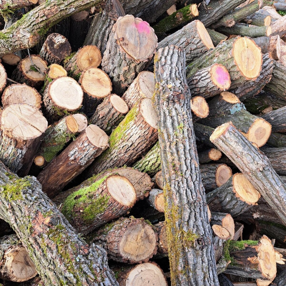 PREDÁM PALIVOVÉ DREVO 🪵🪵🪵 - 5