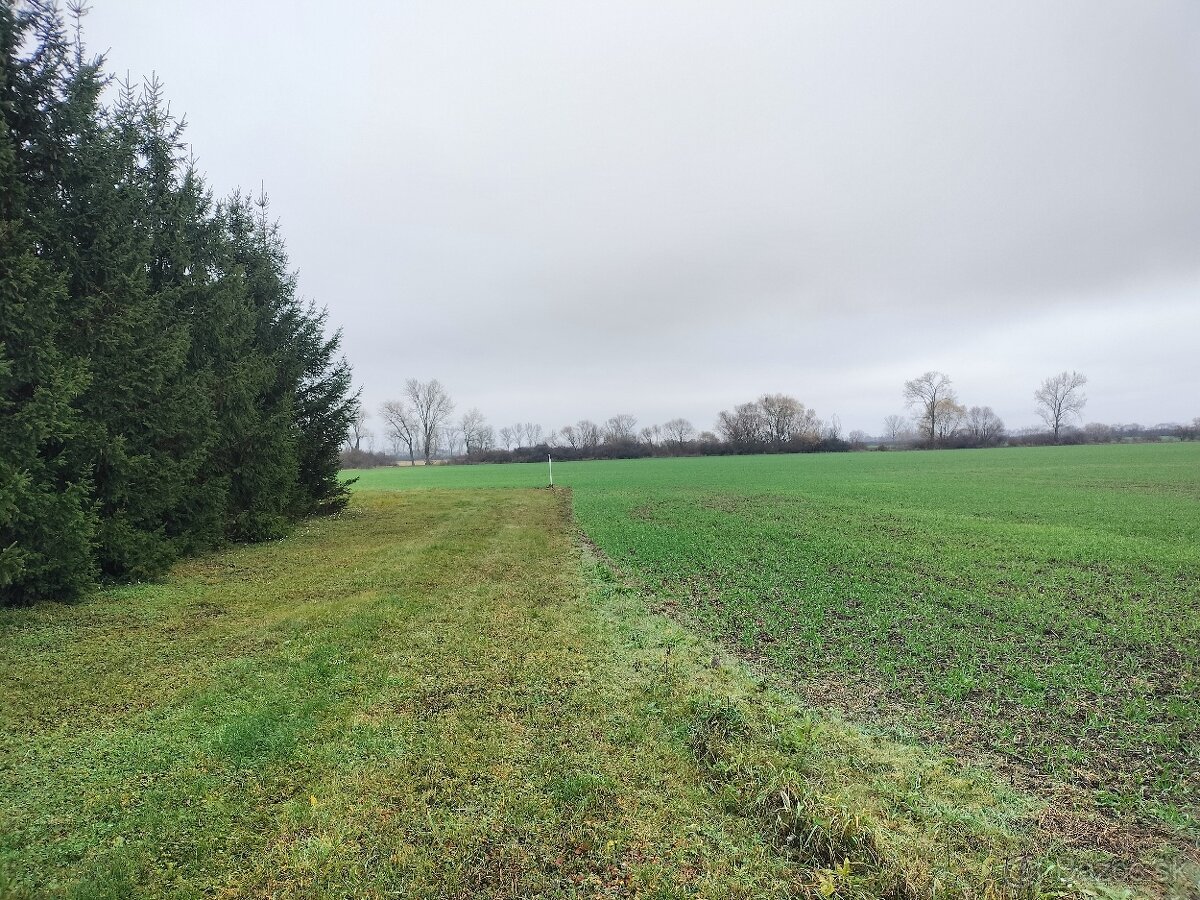 Pozemok Sečovce, sklady a výroba - 5