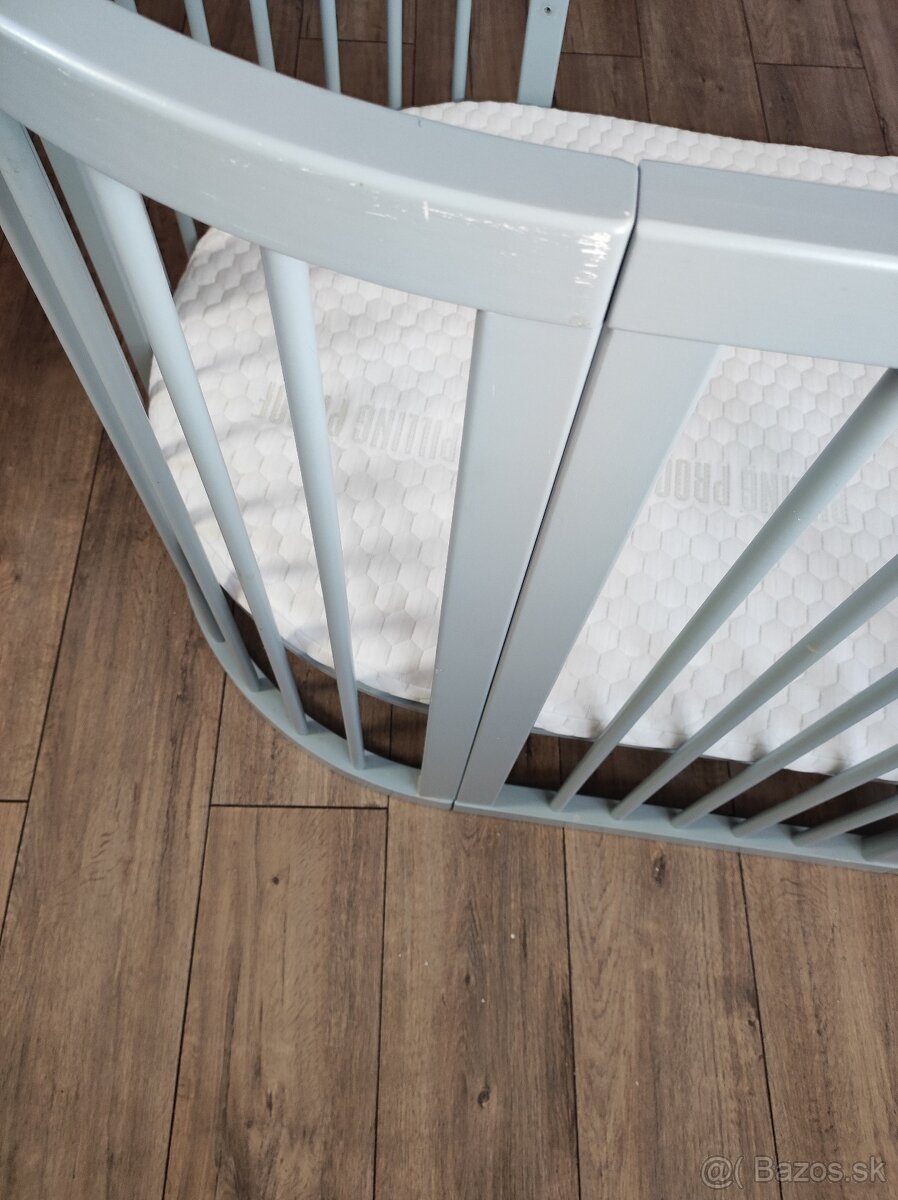 Rastúca postieľka sivá - 5