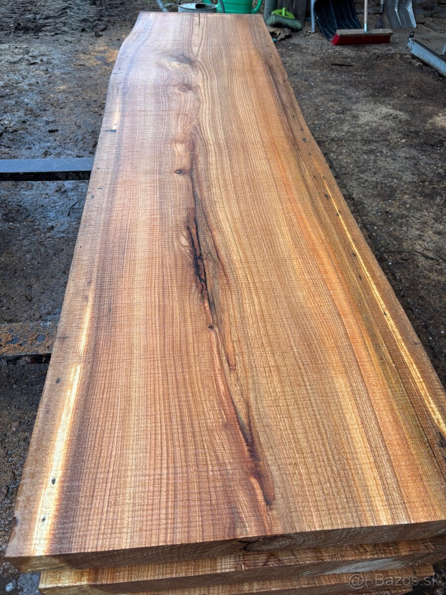 Rezivo Brest Brestove Fošne Kmene Drevo - 5