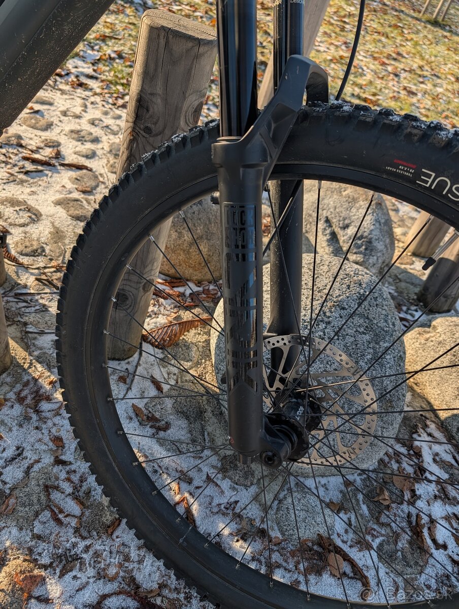 Trek Fuel EXe 9.5- L - 5
