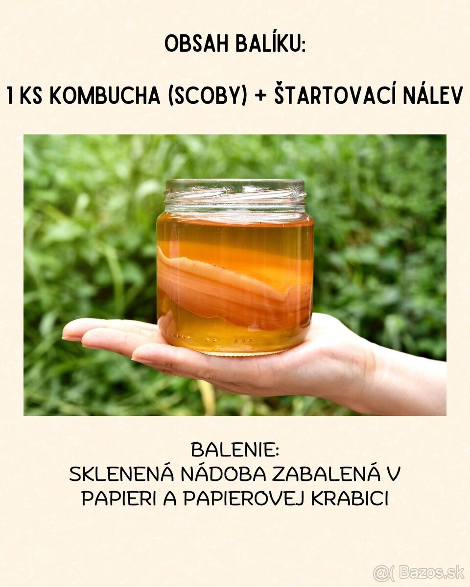 Kombucha - čajová "huba" - 5