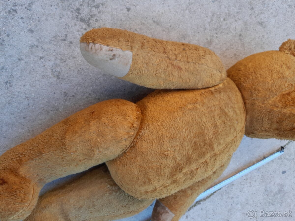 Predám 70 ročného medveďa - 5