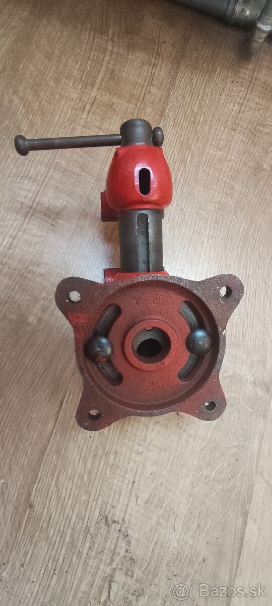 zverák york 60 - 5