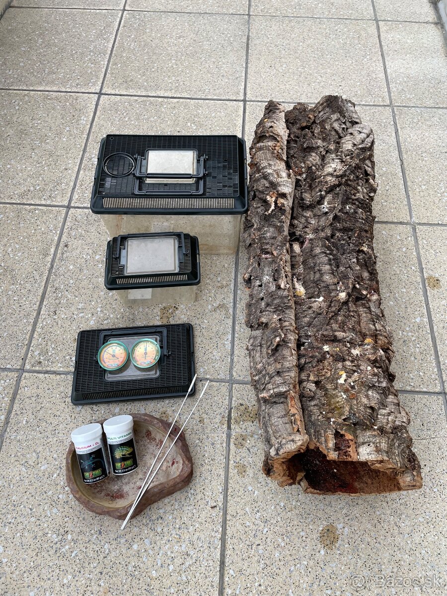 Terarium pre chameleona - 5