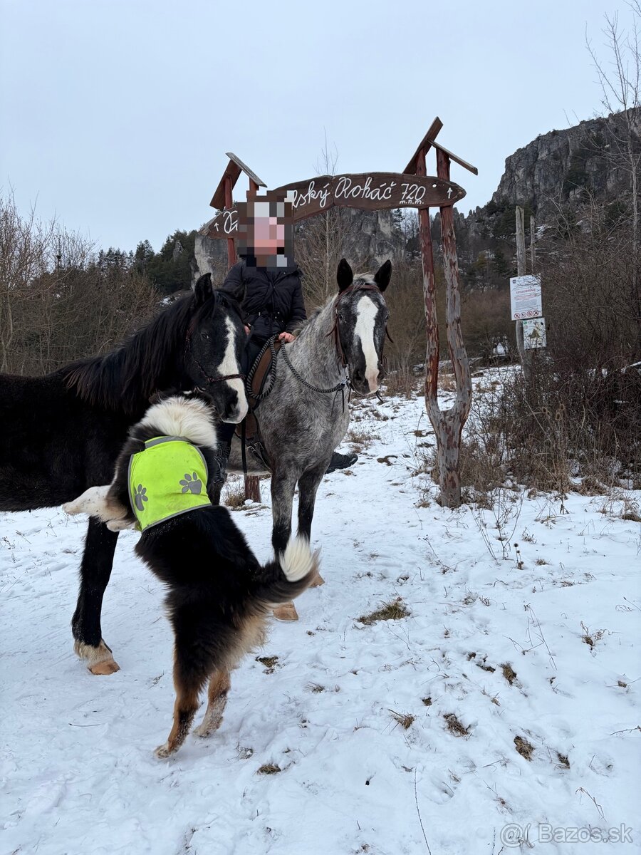 Valach s top povahou - 5