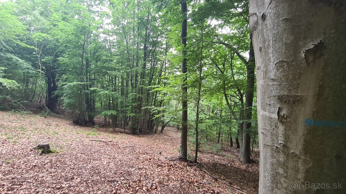 EXKLUZÍVNE na predaj pozemok 2,4ha v obci Hrabičov - 5