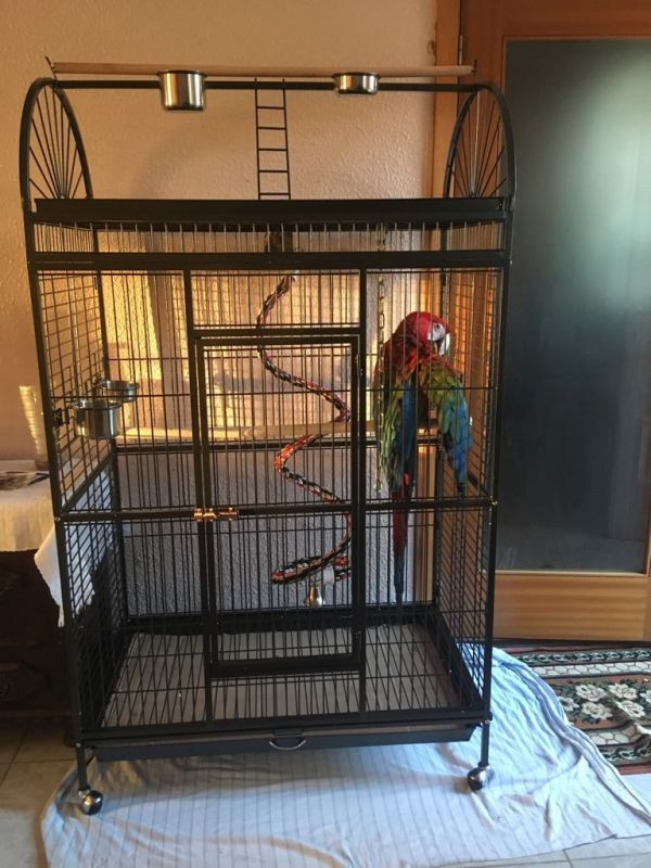 Veľká voliéra - XXL nová klietka pre vtáky - zvieratá - 5