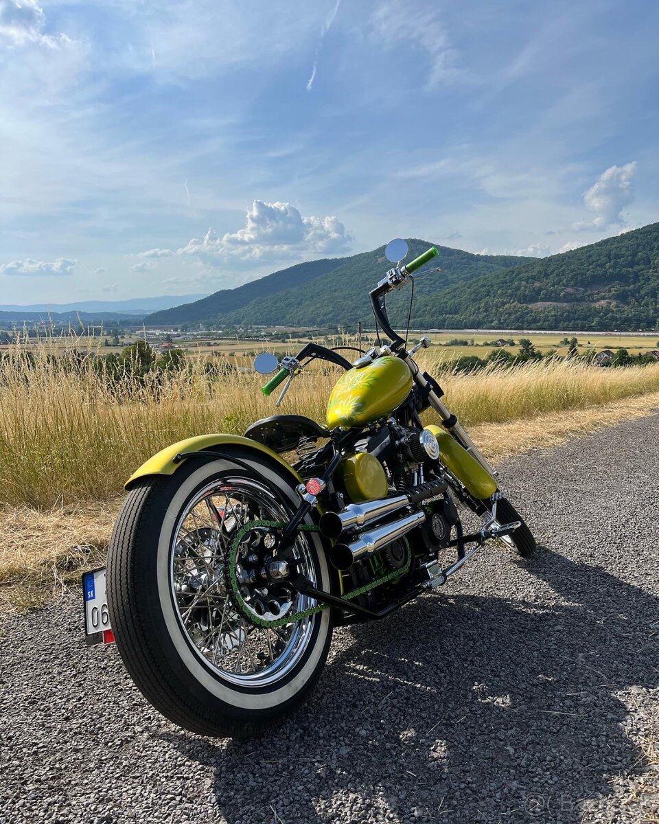 Bobber Harley Davidson 1200 XL - 5