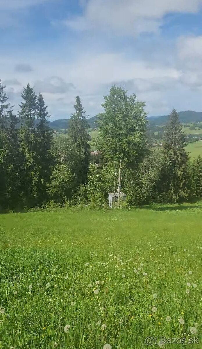 Predám pozemok v Oravskej Lesnej - 5