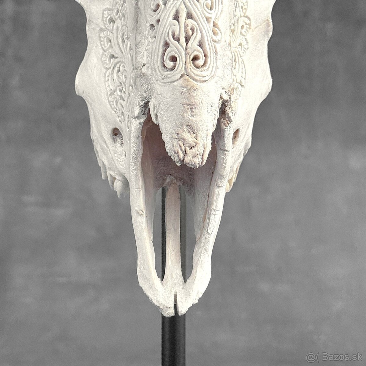 Vyrezávaná lebka barana na kovovom stojane - motív Infinity - 5