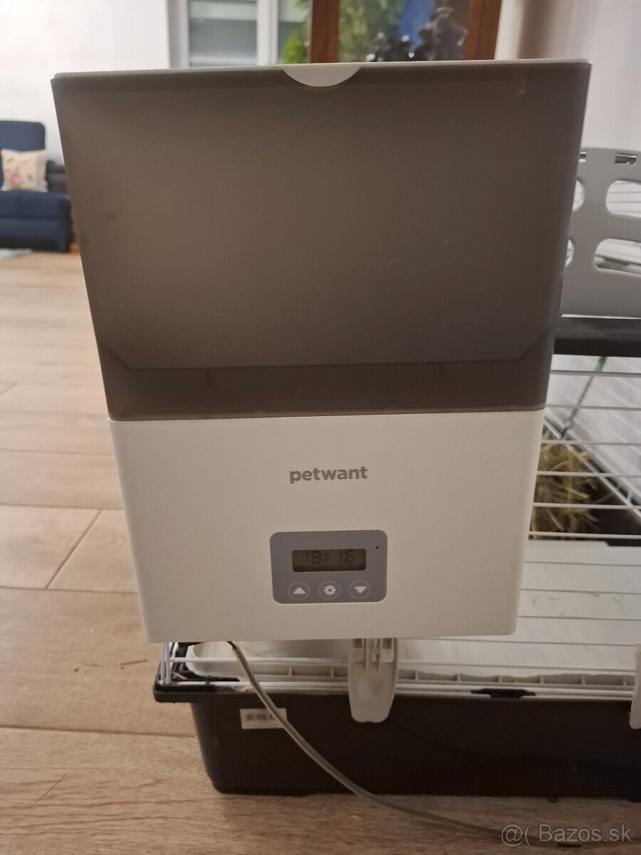 Domáci bytový králik - 5