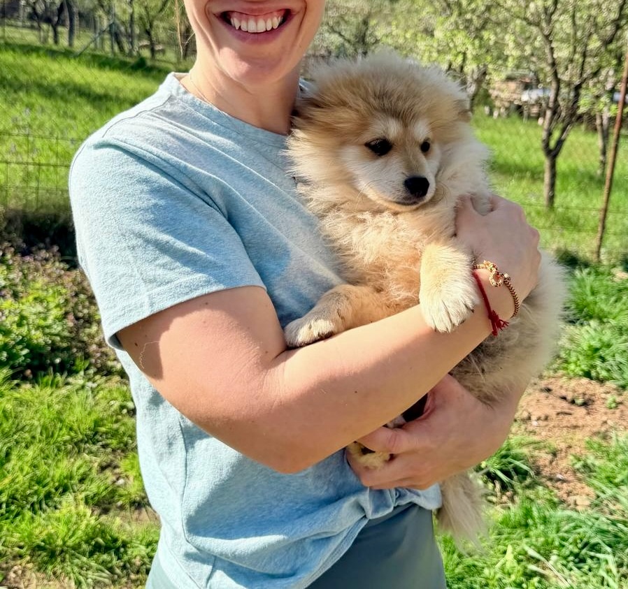 Pomsky - 5