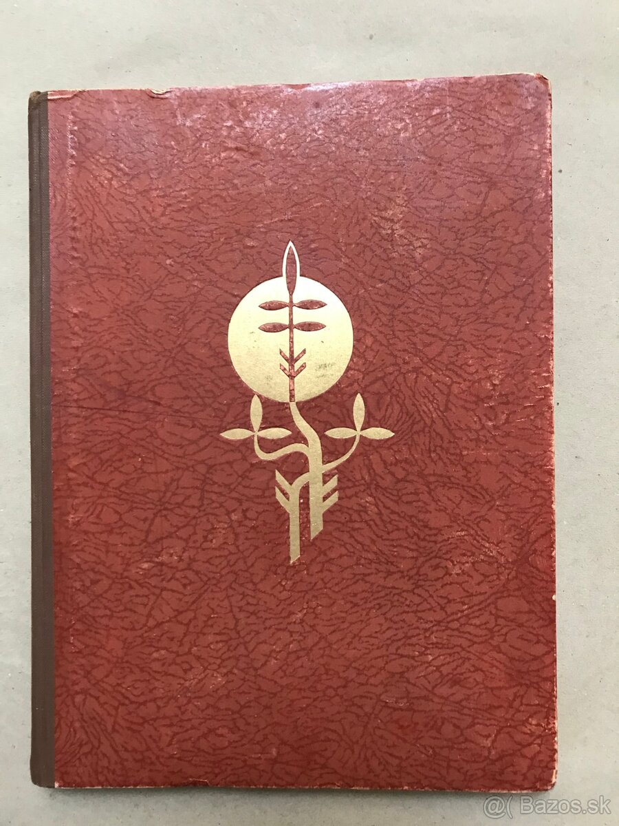 Andrej Sládkovič Detvan, Slovenský futbal, Slovenské obyčaje - 5