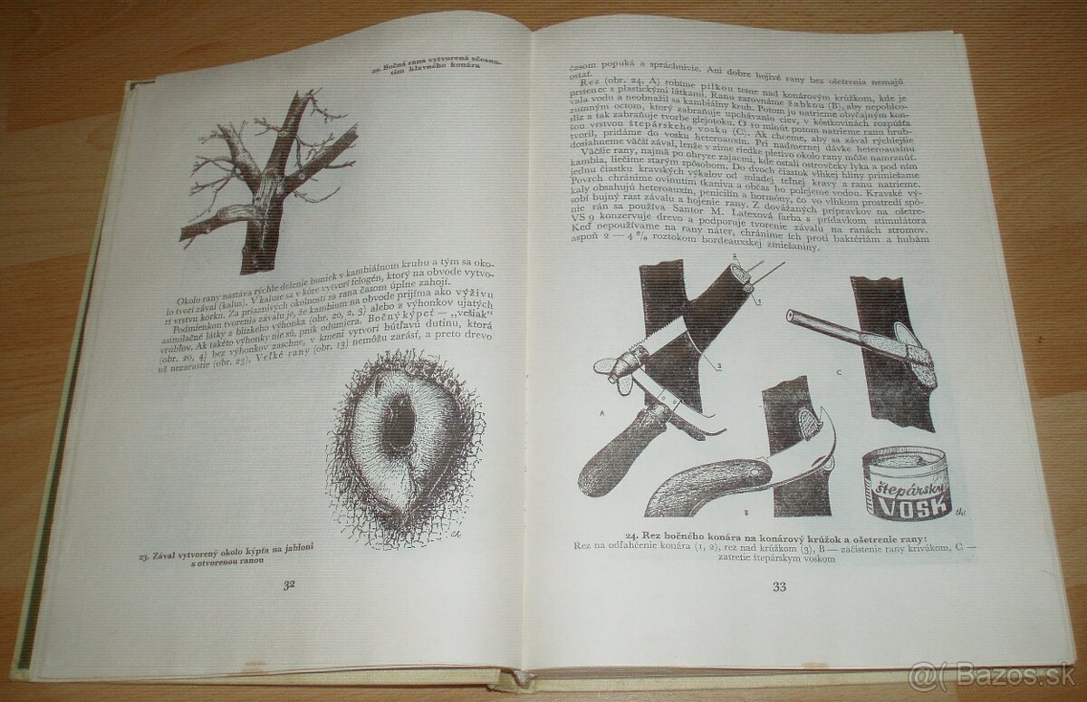 Štepenie, očkovanie a preštepovanie drevín - 5