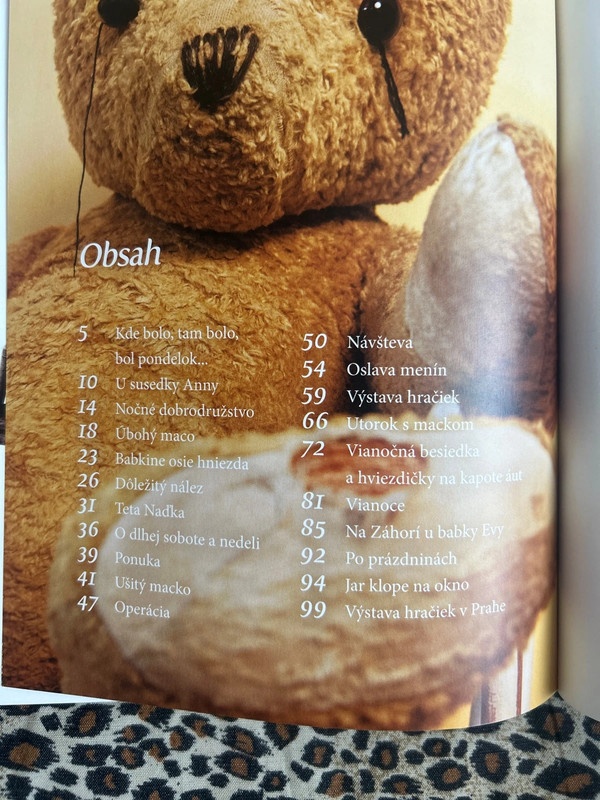 Plyšový medvedík - Katarína Lihositová - 5