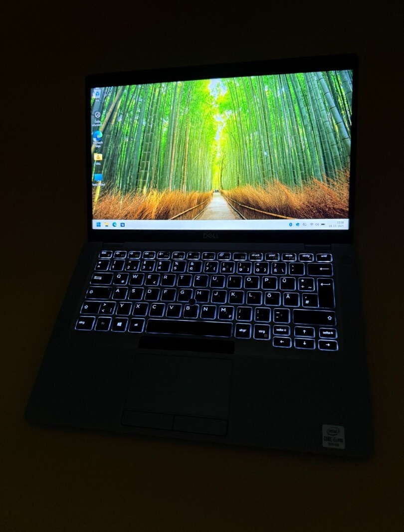 Notebook Dell Latitude 5410 i5-10310U/16GB RAM/B-kat/FHD/SSD - 5