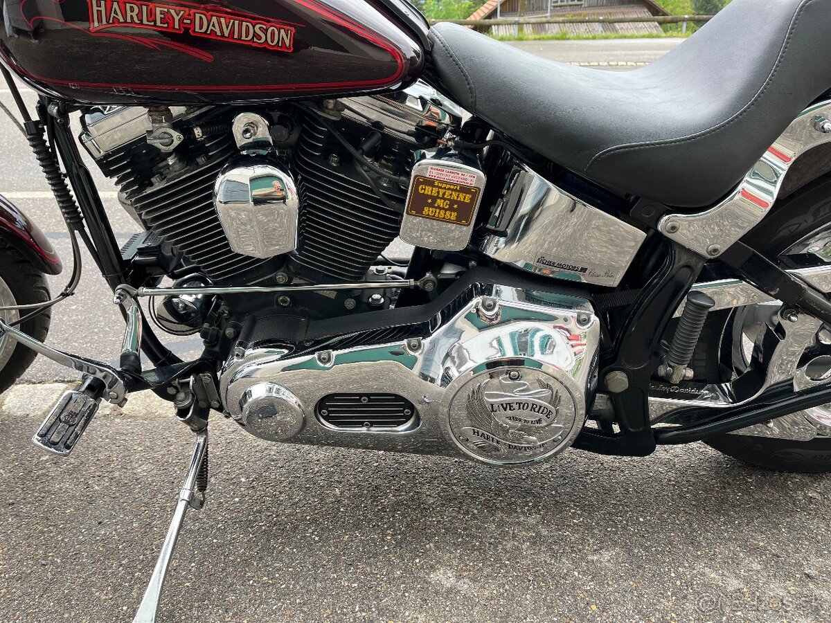 Harley Davidson Softail FXSTC Evo - 5