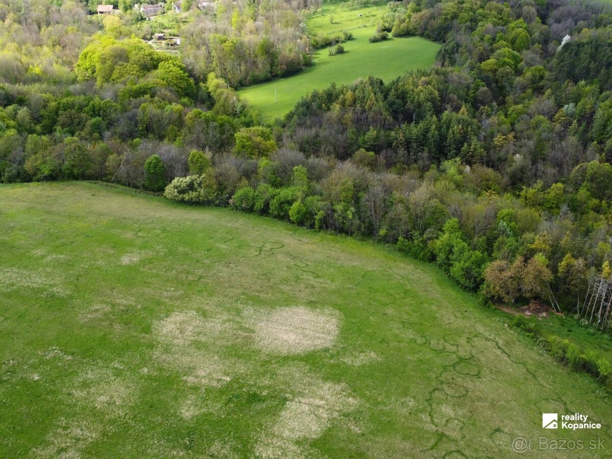Veľký rekreačný pozemok, Brezová pod Bradlom - 5