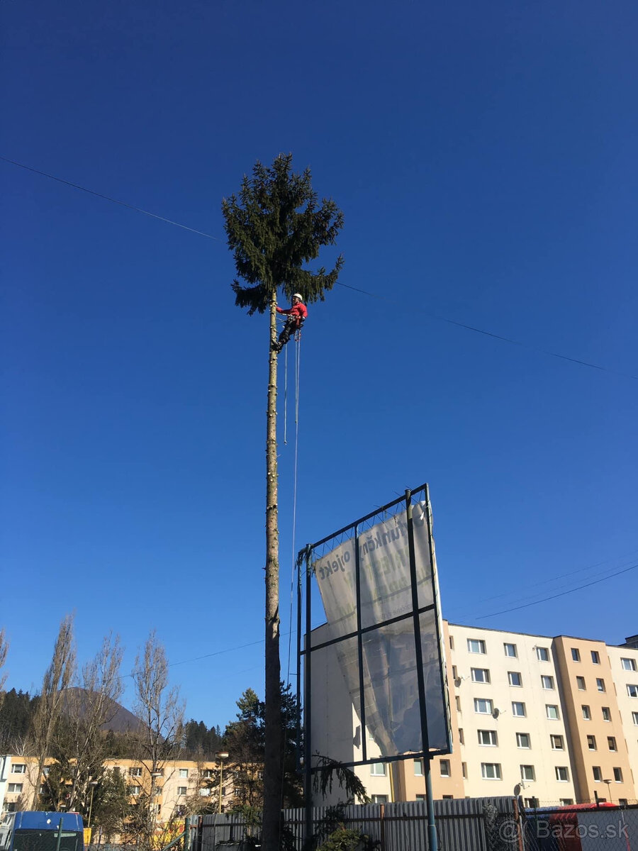 Rizikový výrub / rizikové pílenie stromov - 5
