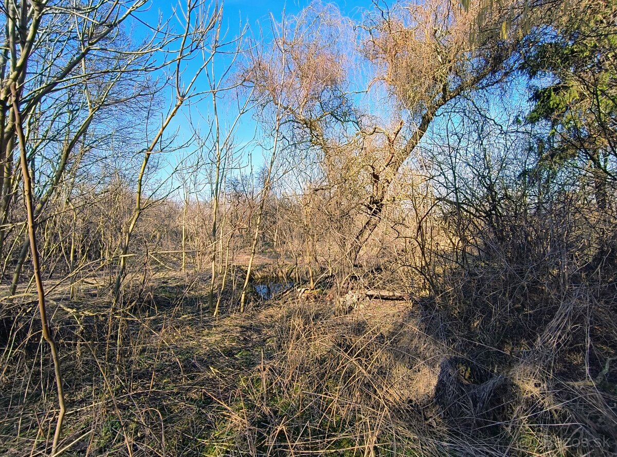 Záhrada v obci Kamenín - 5