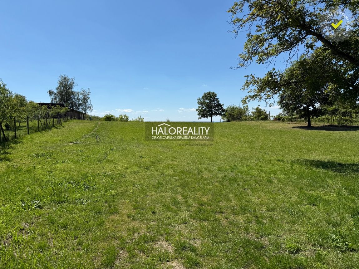 HALO reality - Predaj, rekreačný pozemok Kráľovský Chlmec - - 5