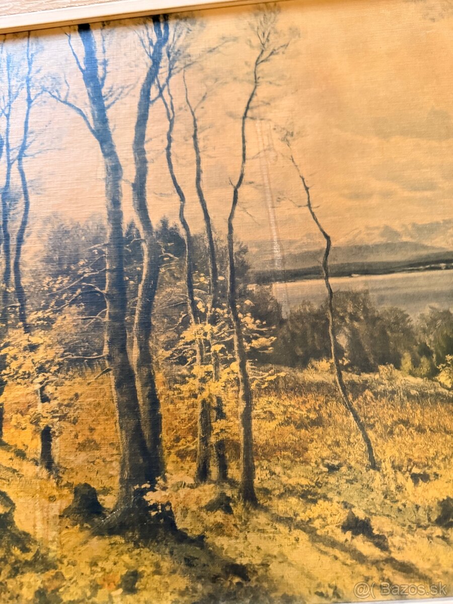 Obraz Josef Schoyerer (1844-1923) early spring - 5