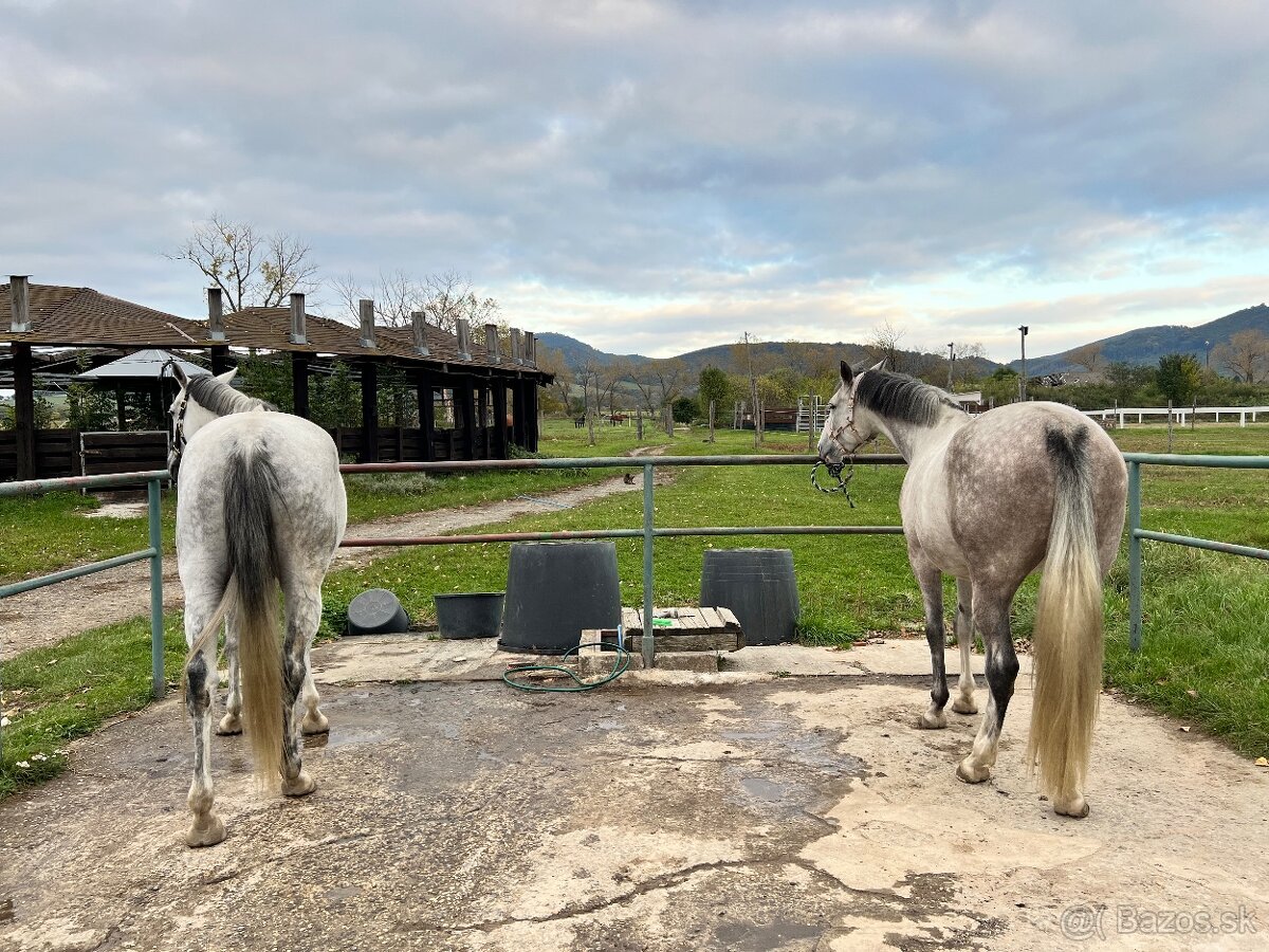 Ponúkame ustajnenie - 5