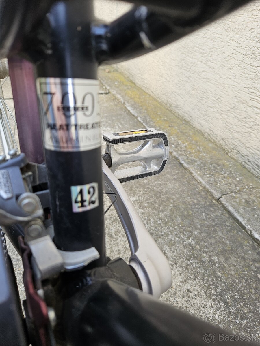 Hlinikivy bicykel genesis xenon - 5