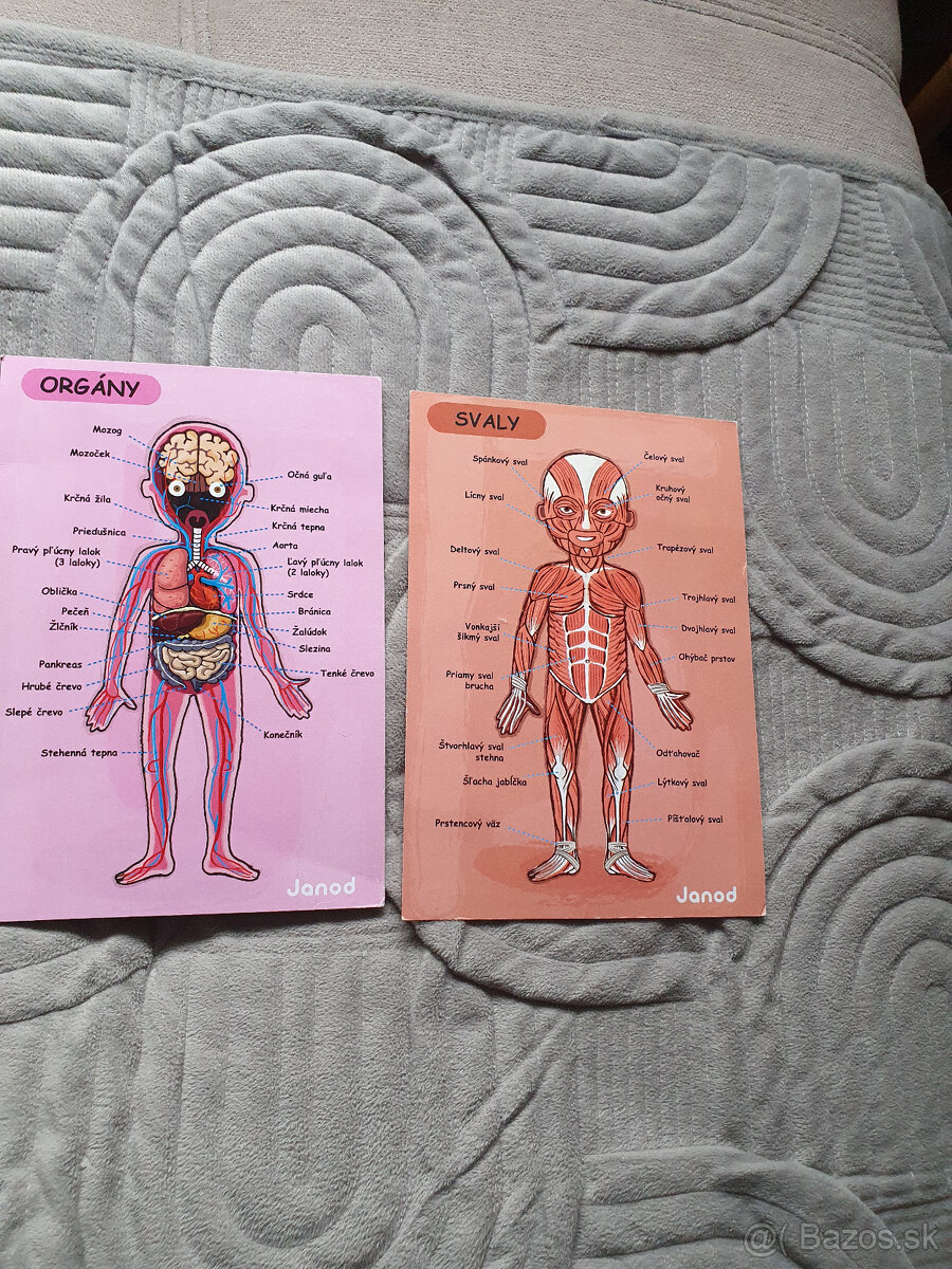 Magnetická skladačka - ľudské telo - 5