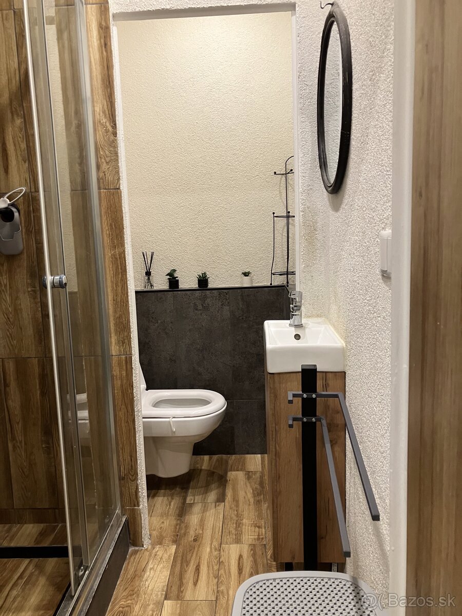 1izbovy byt prenájom - 5