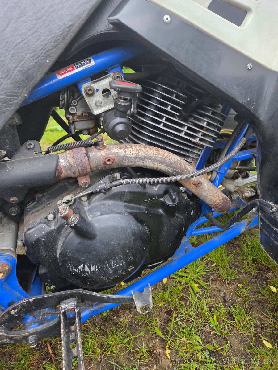 Yamaha warrior 350