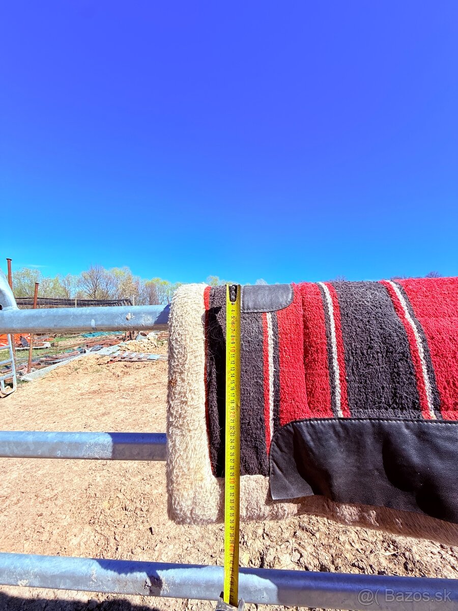 westernova podsedlovka - 5